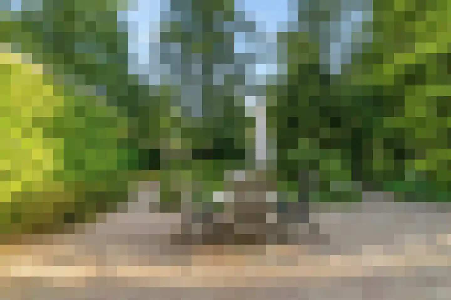 Schotsmanlaan 7 Dieren thumbnail 34