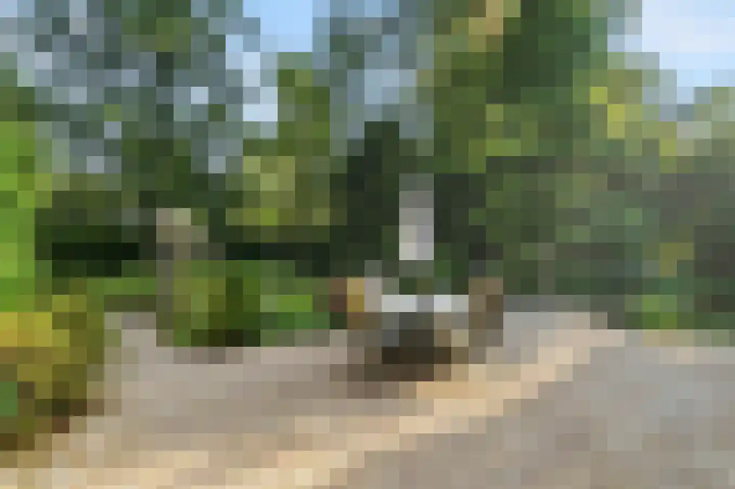 Schotsmanlaan 7 Dieren thumbnail 35