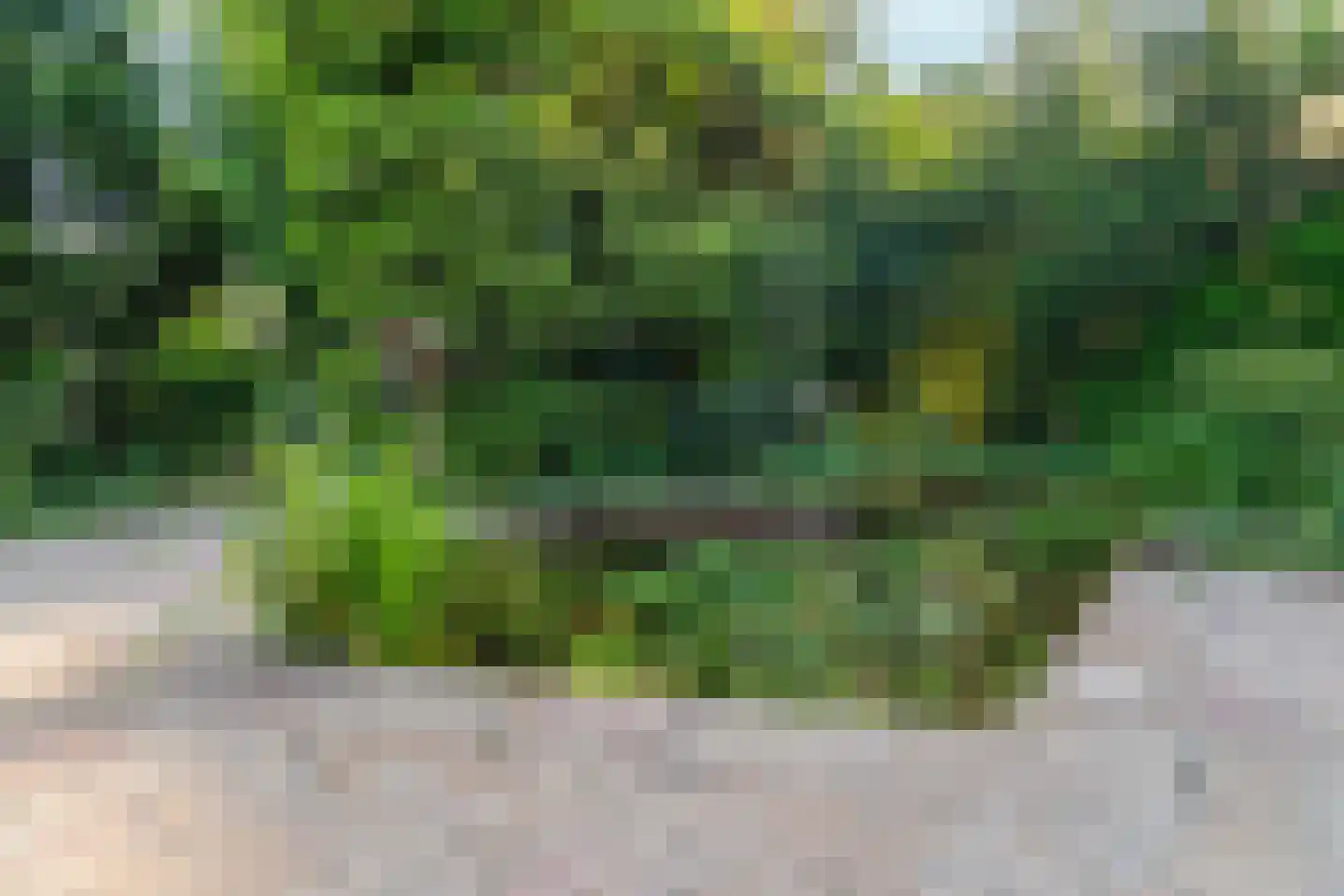Schotsmanlaan 7 Dieren thumbnail 36