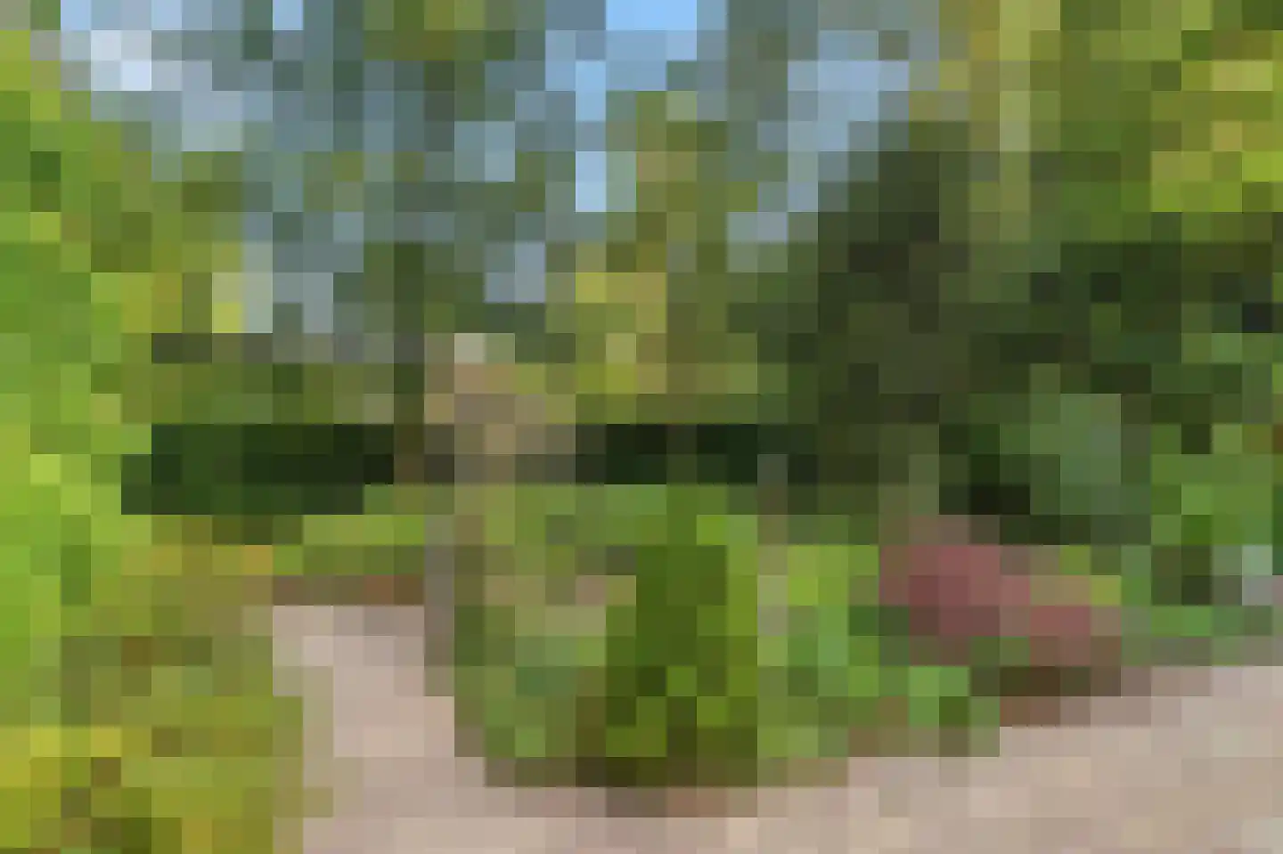 Schotsmanlaan 7 Dieren thumbnail 36