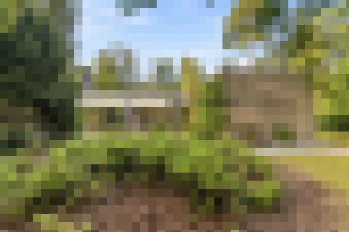 Schotsmanlaan 7 Dieren thumbnail 38