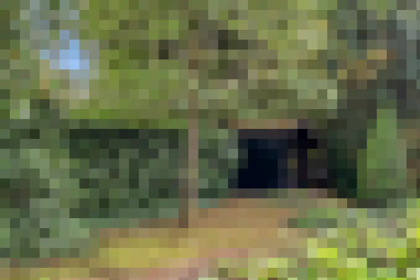 Schotsmanlaan 7 Dieren thumbnail 39