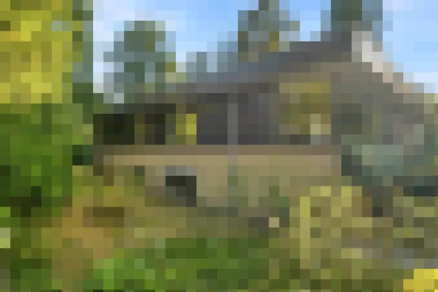 Schotsmanlaan 7 Dieren thumbnail 41