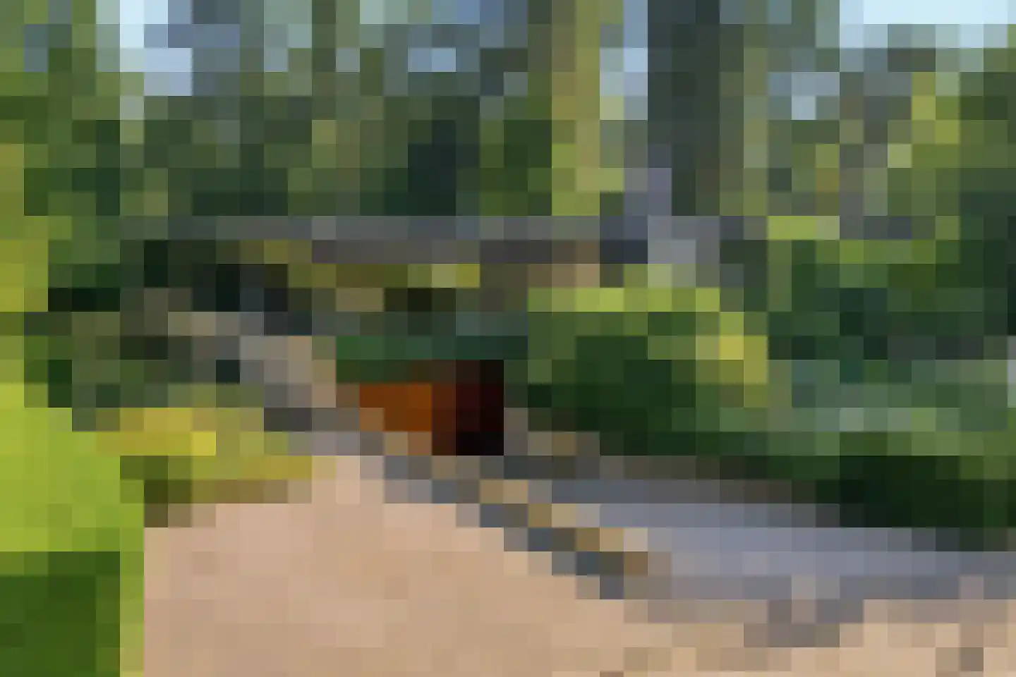 Schotsmanlaan 7 Dieren thumbnail 42