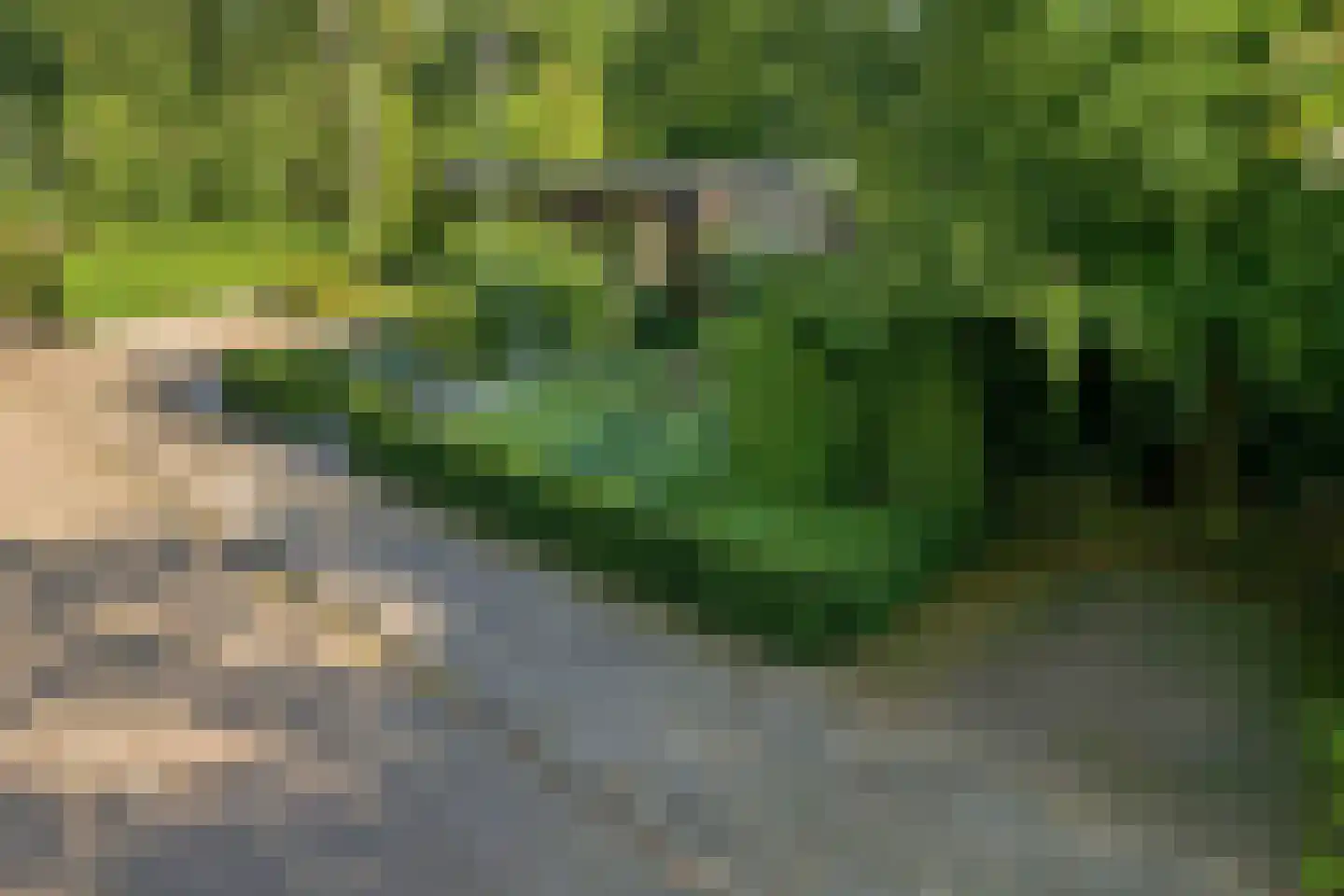 Schotsmanlaan 7 Dieren thumbnail 43