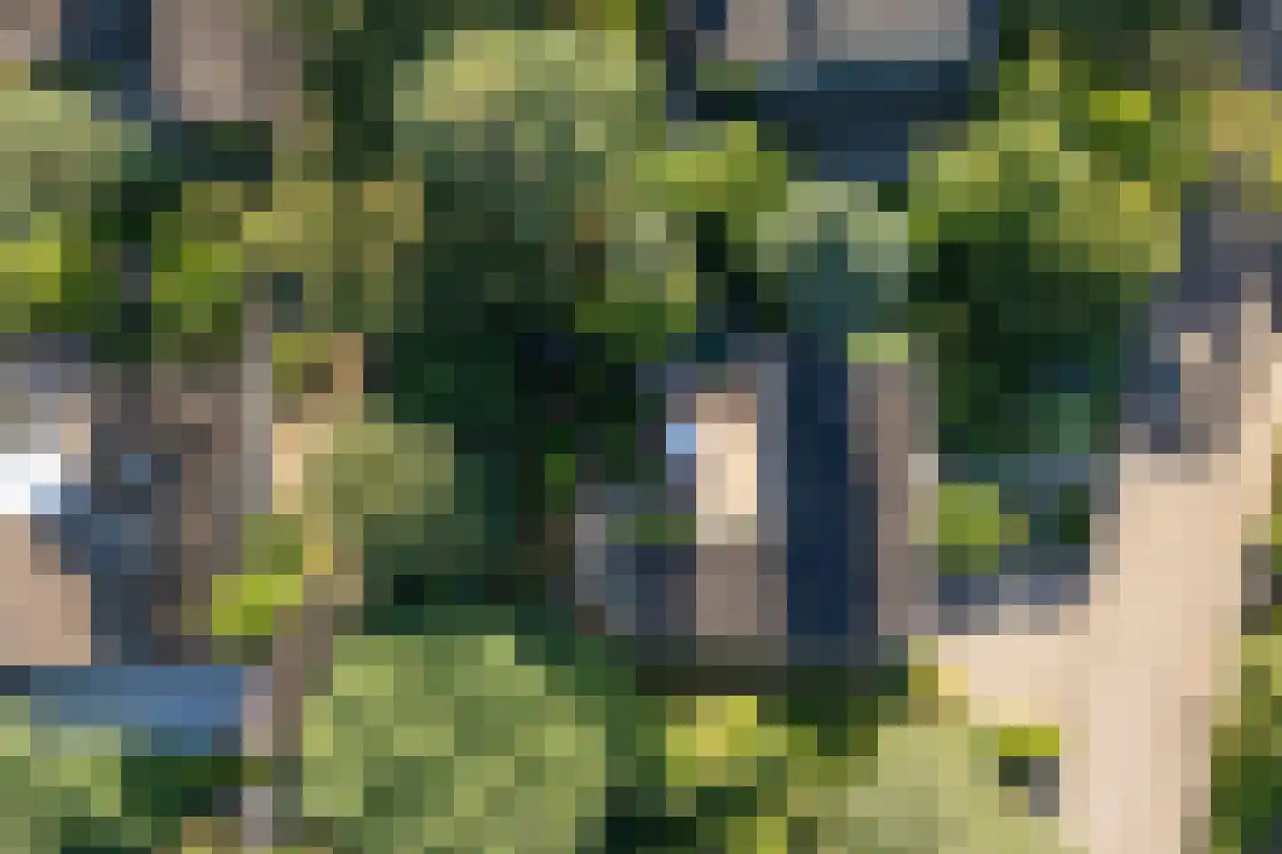 Schotsmanlaan 7 Dieren thumbnail 44