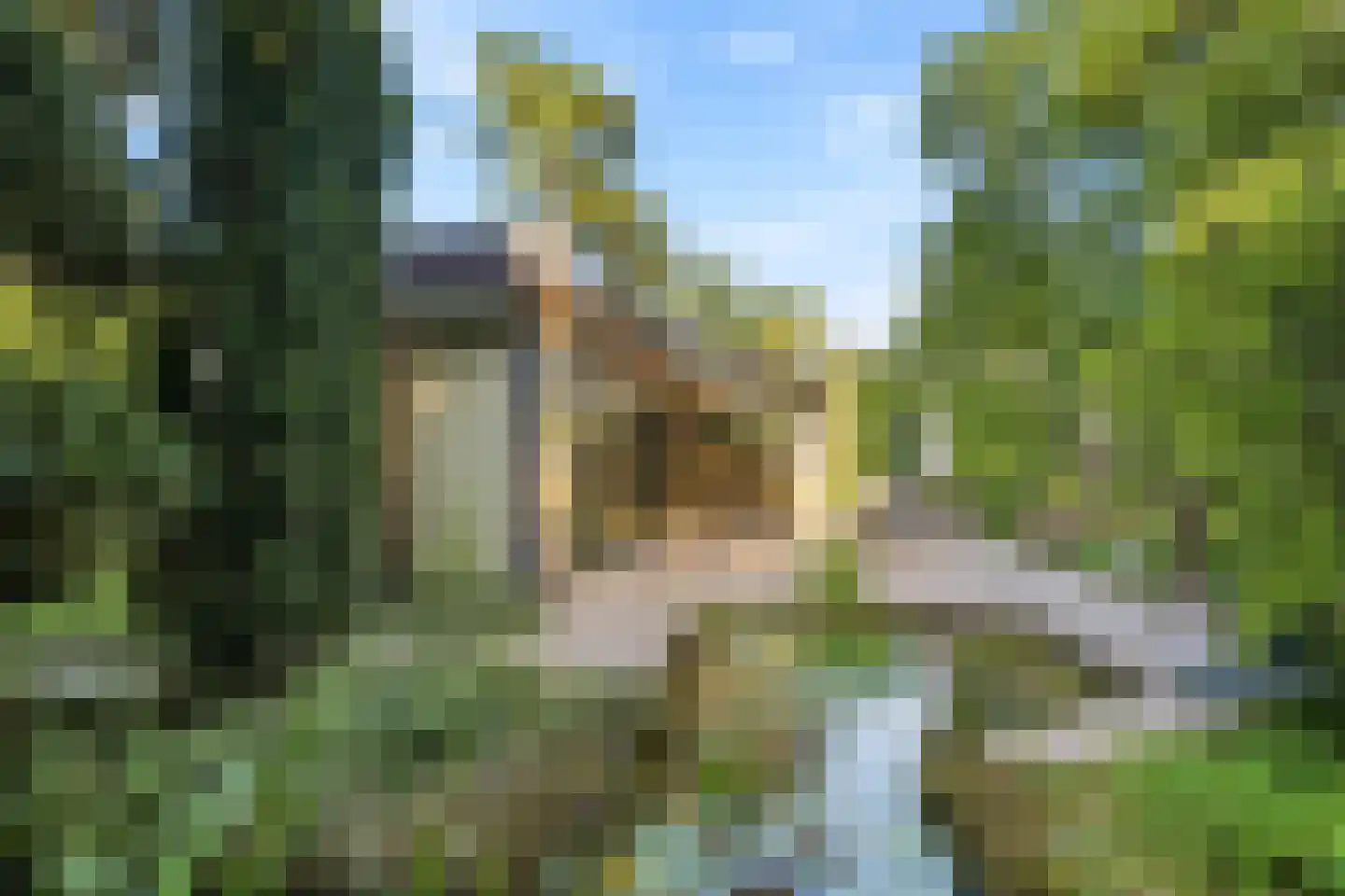 Schotsmanlaan 7 Dieren thumbnail 5