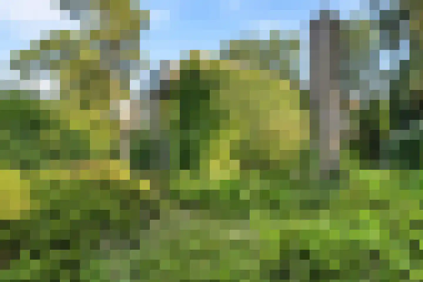 Schotsmanlaan 7 Dieren thumbnail 7