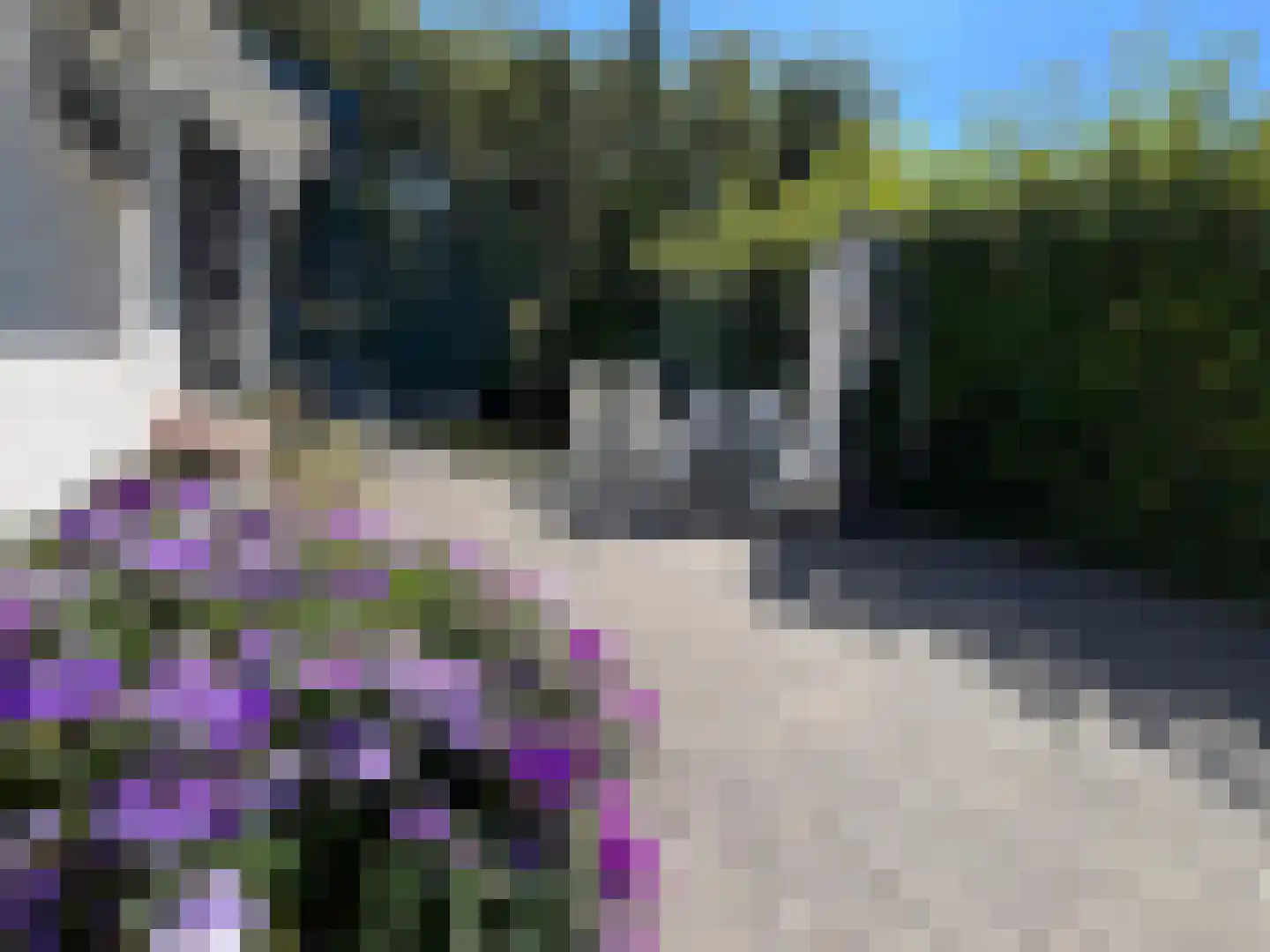 Schotsmanweg 1 01 Kamperland thumbnail 12