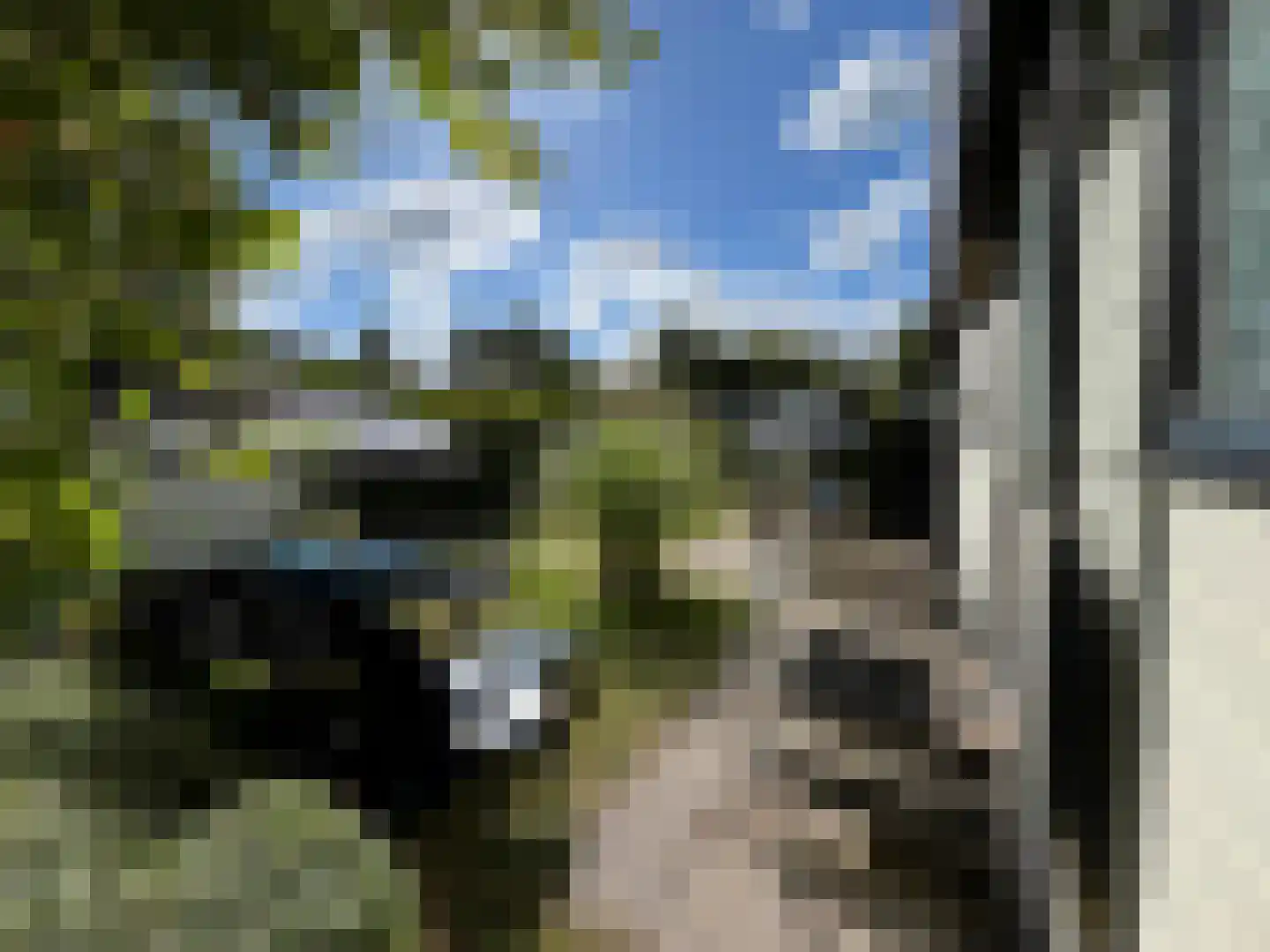 Schotsmanweg 1 03 Kamperland thumbnail 14