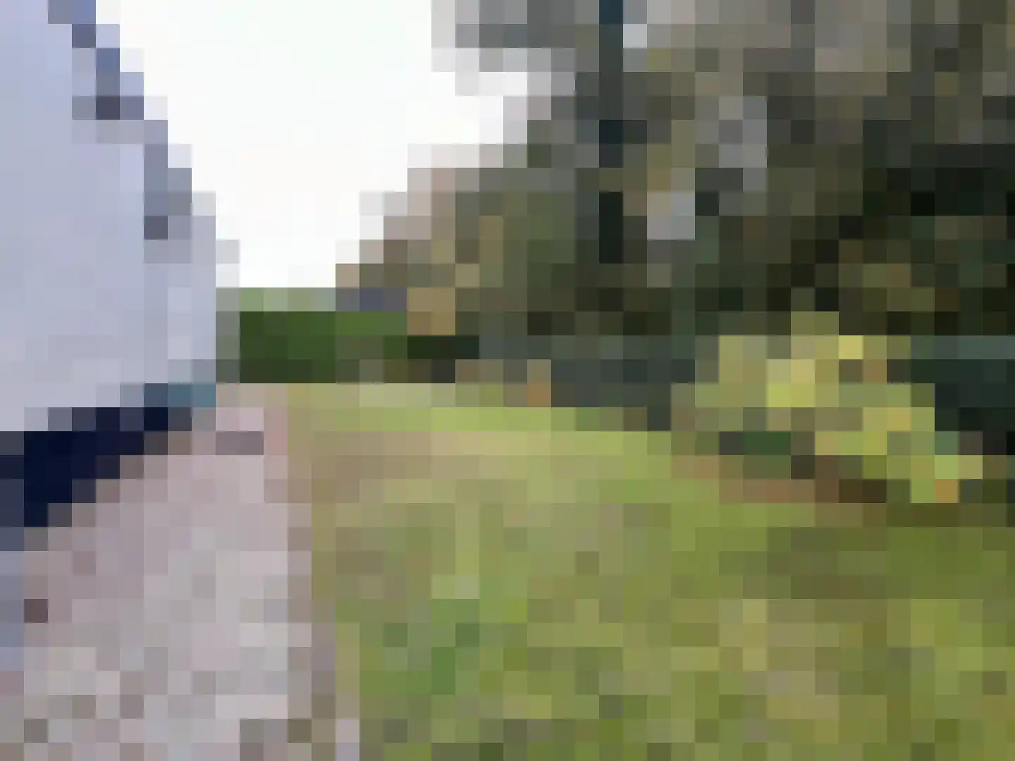 Schotsmanweg 1 08 Kamperland thumbnail 21
