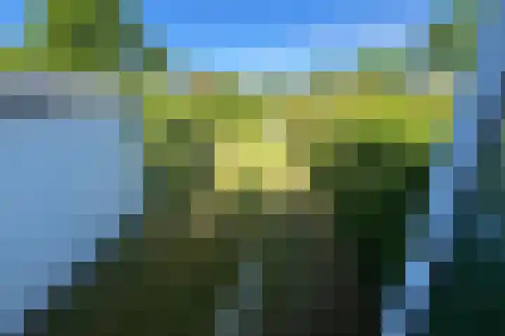 Schotsmanweg 1 10 Kamperland thumbnail 12