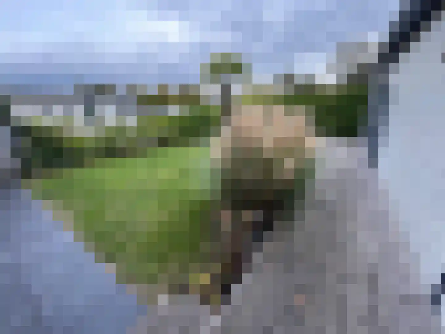 Schotsmanweg 1 20 Kamperland thumbnail 14