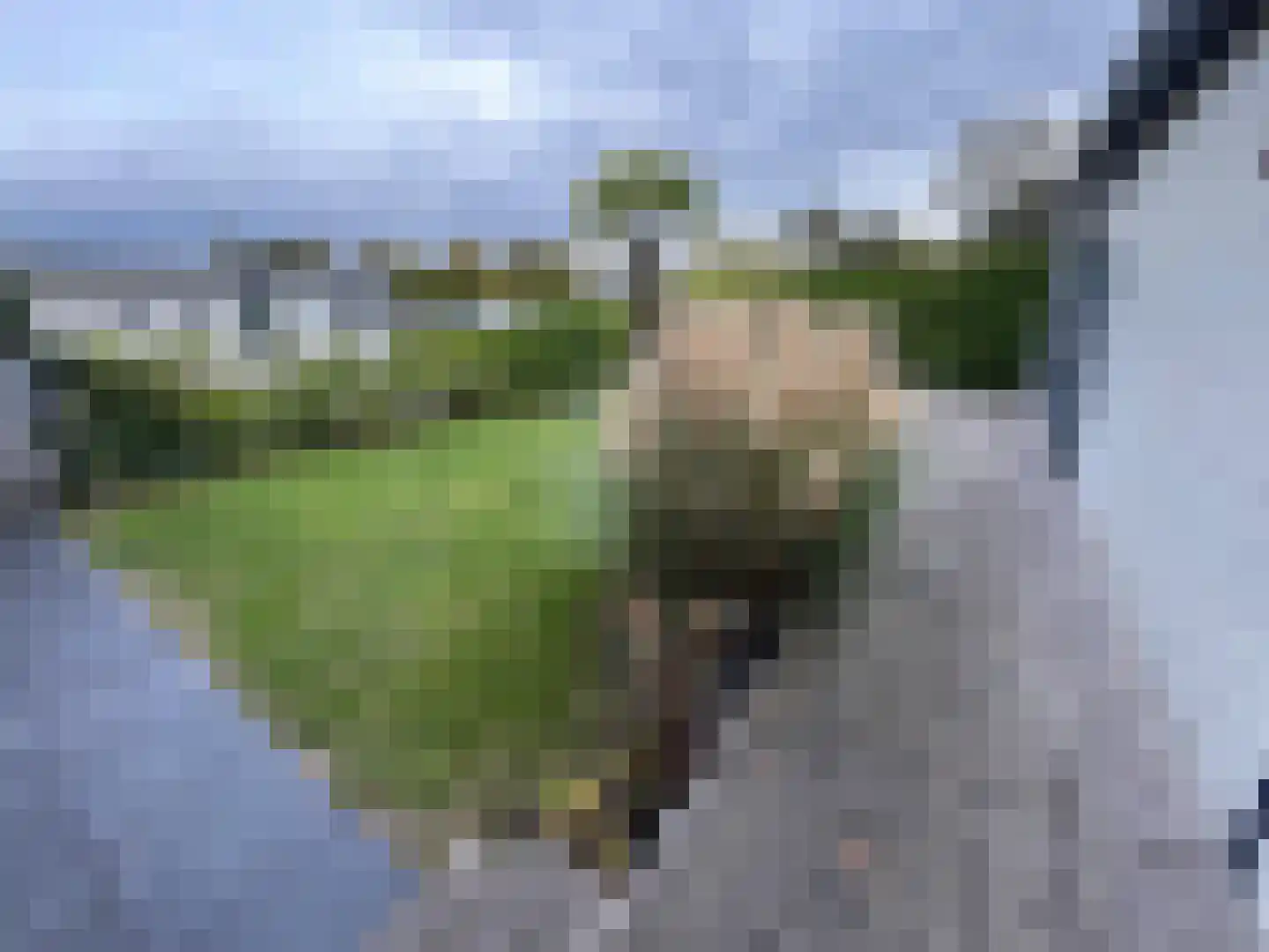 Schotsmanweg 1 20 Kamperland thumbnail 14