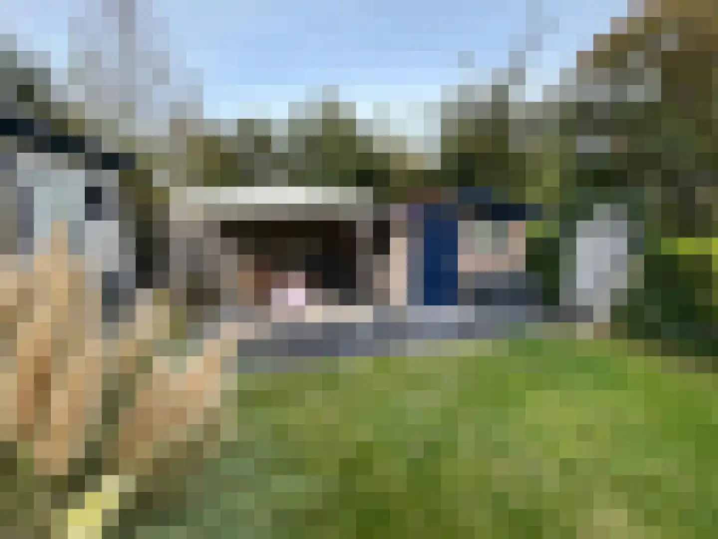 Schotsmanweg 1 20 Kamperland thumbnail 17