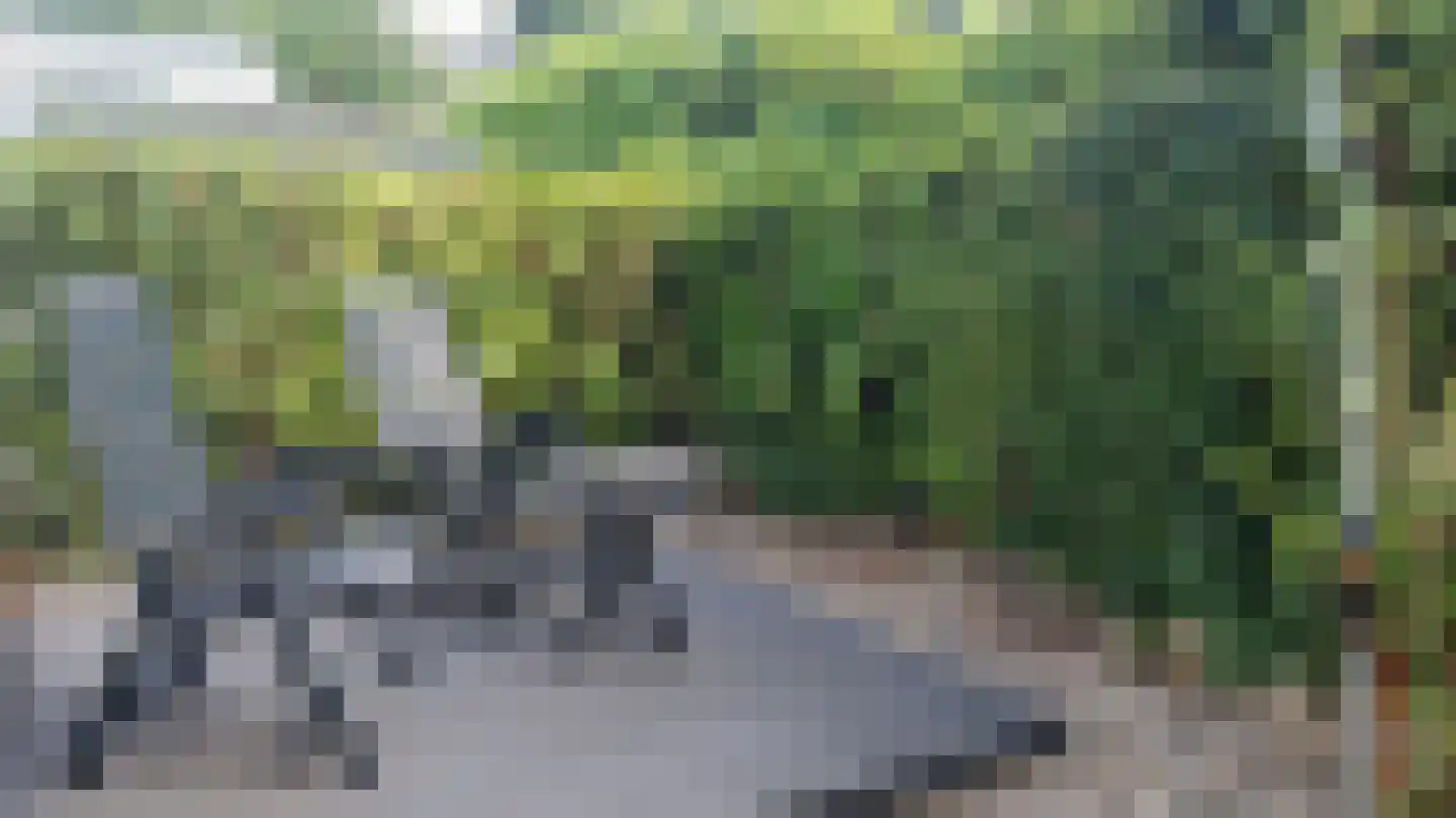 Schotsmanweg 1 62 Kamperland thumbnail 10