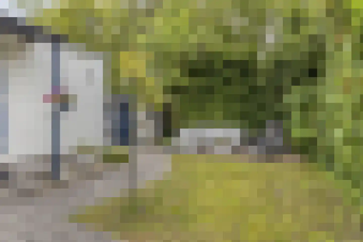 Schotsmanweg 1 621 Kamperland thumbnail 10