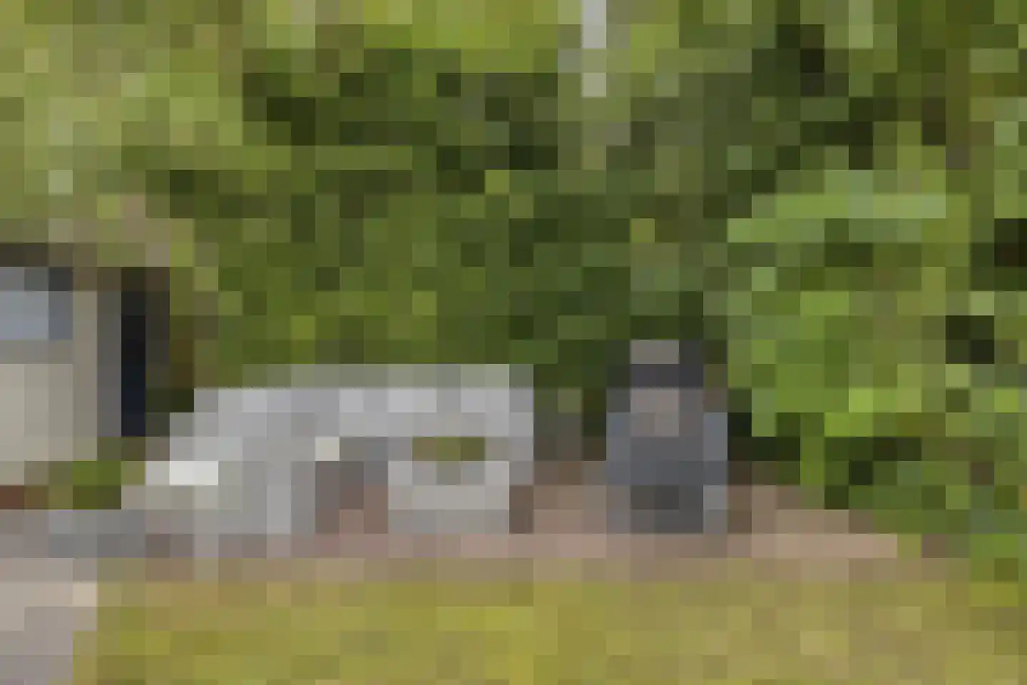 Schotsmanweg 1 621 Kamperland thumbnail 11