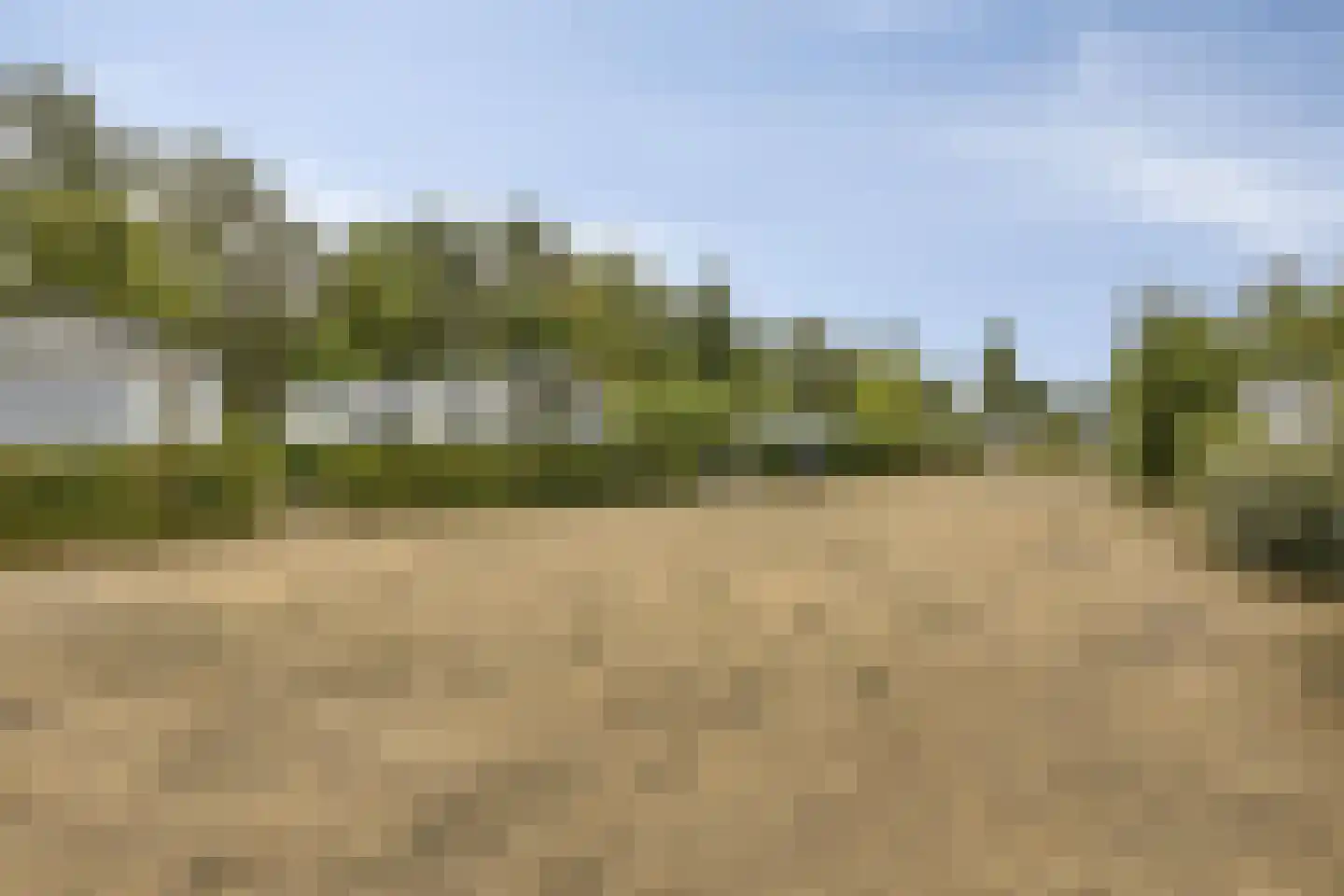 Schotsmanweg 1 621 Kamperland thumbnail 16