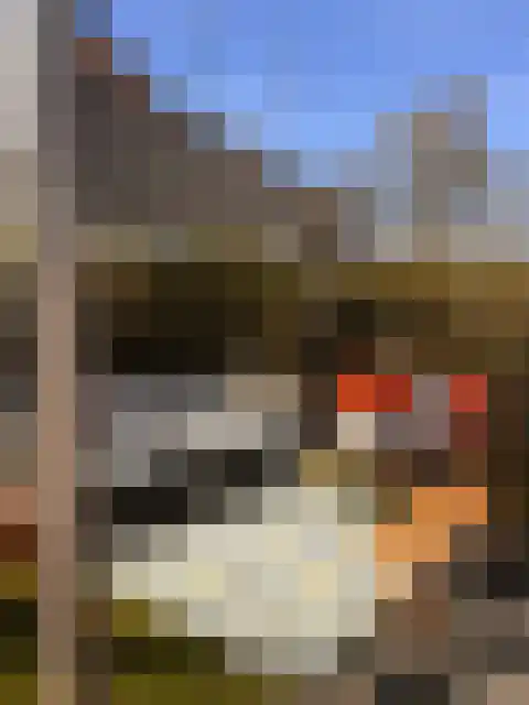 Schotsmanweg 1 Kamperland thumbnail 16
