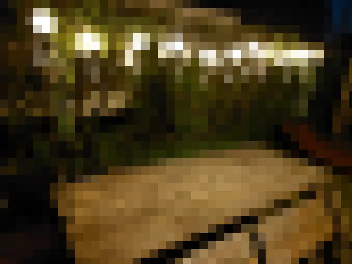 Schotsmanweg 1 Kamperland thumbnail 17