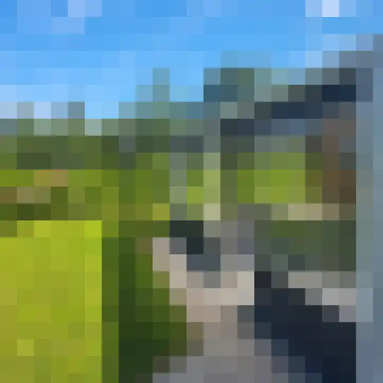 Schotsmanweg 1 Kamperland thumbnail 18