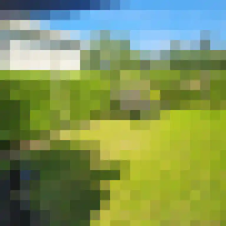Schotsmanweg 1 Kamperland thumbnail 19