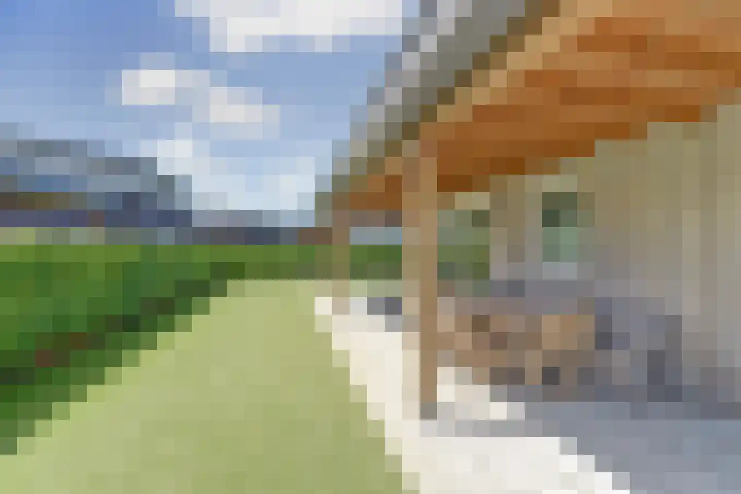 Schotsmanweg 1 Kamperland thumbnail 29