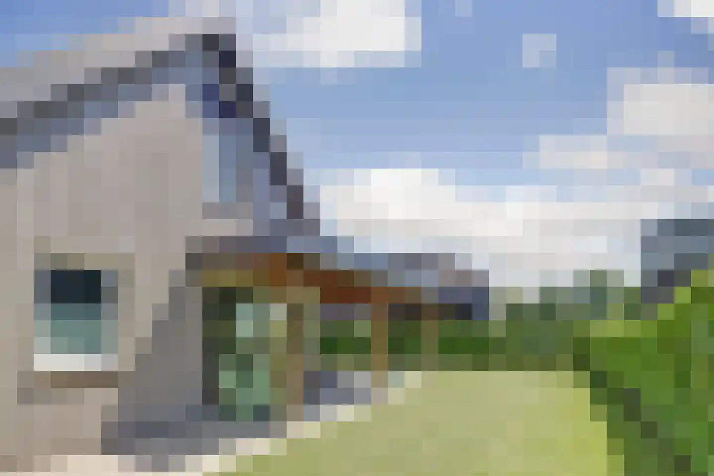 Schotsmanweg 1 Kamperland thumbnail 31