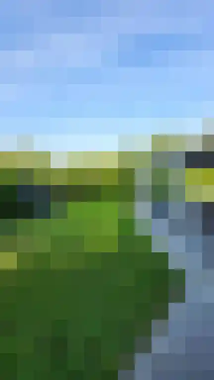 Schotsmanweg 1 Kamperland thumbnail 4