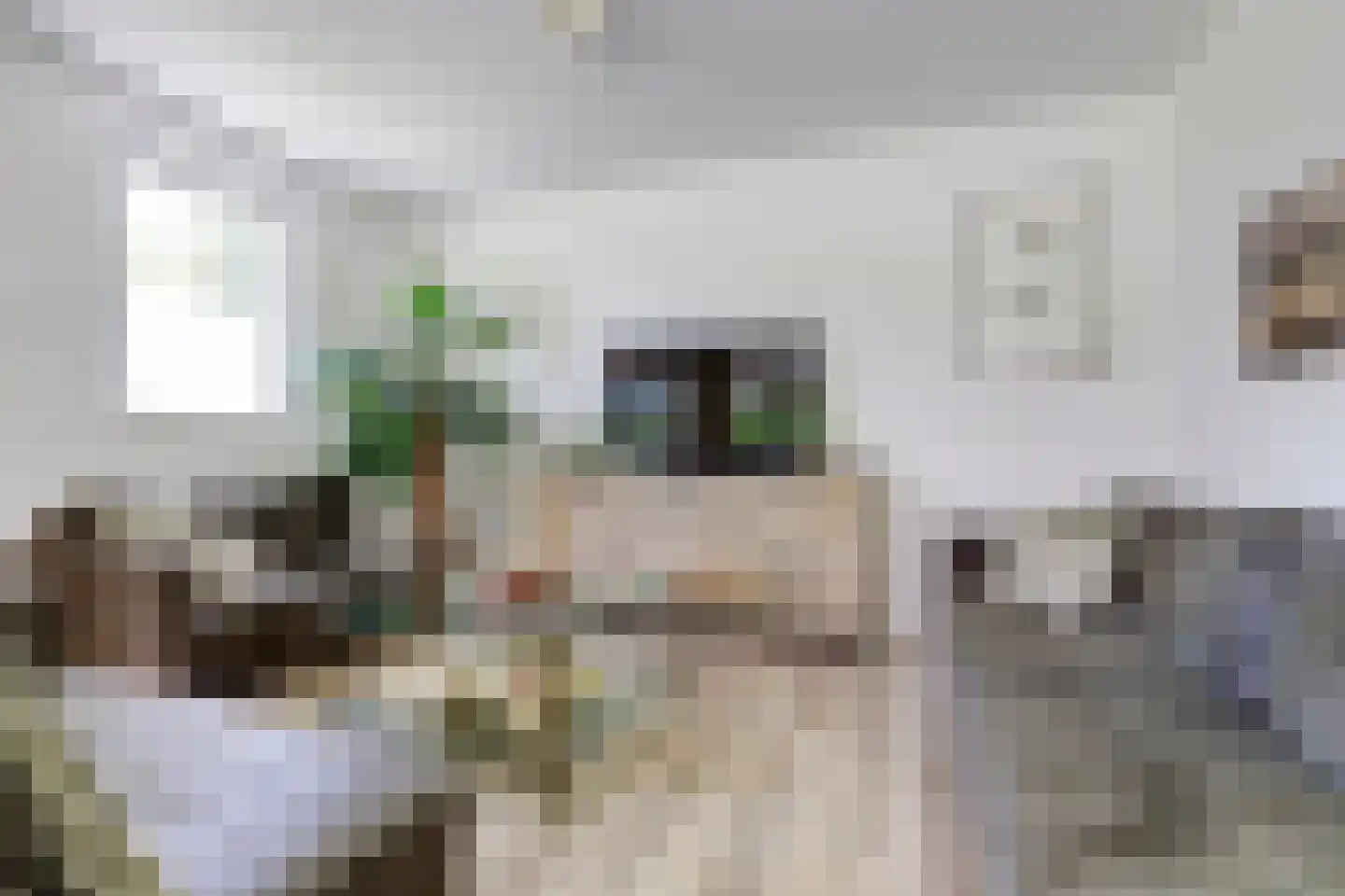 Schotsmanweg 1 Kamperland thumbnail 8