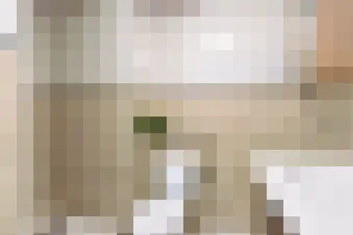 Schottegat 9 Almere thumbnail 31