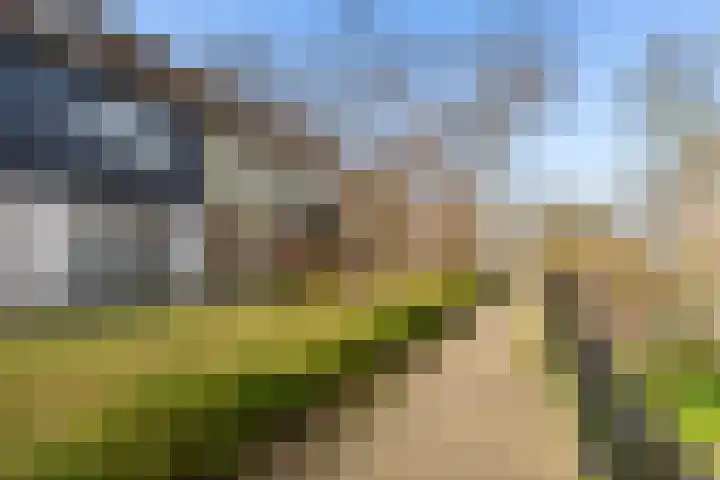 Schottegat 9 Almere thumbnail 45