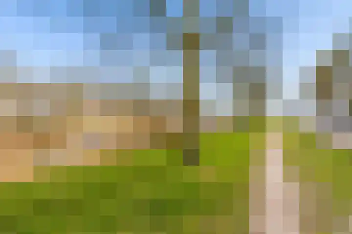 Schottegat 9 Almere thumbnail 46