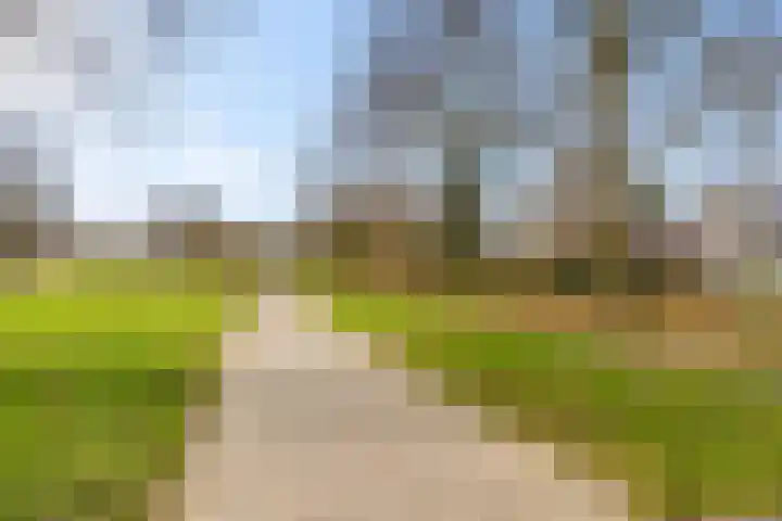 Schottegat 9 Almere thumbnail 51