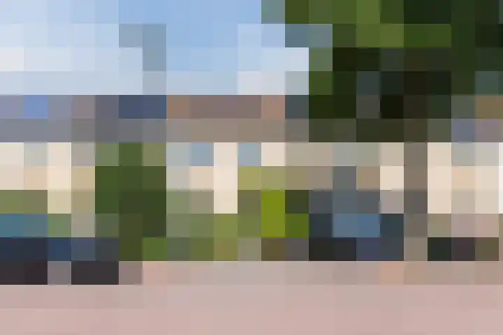 Schotvanger 11 Assendelft