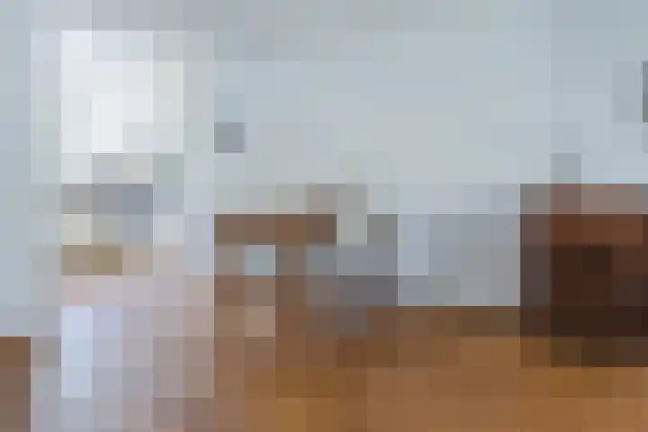 Schotvanger 11 Assendelft thumbnail 13