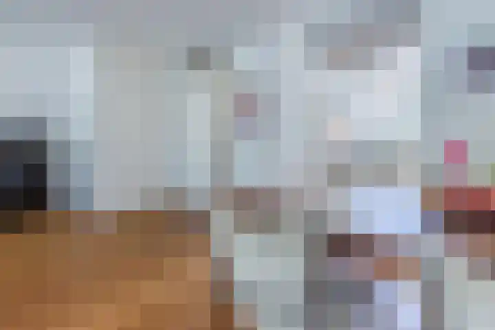 Schotvanger 11 Assendelft thumbnail 14