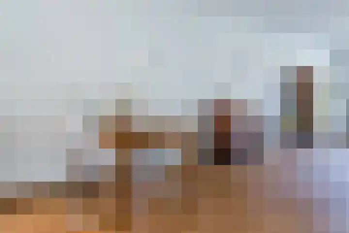 Schotvanger 11 Assendelft thumbnail 15