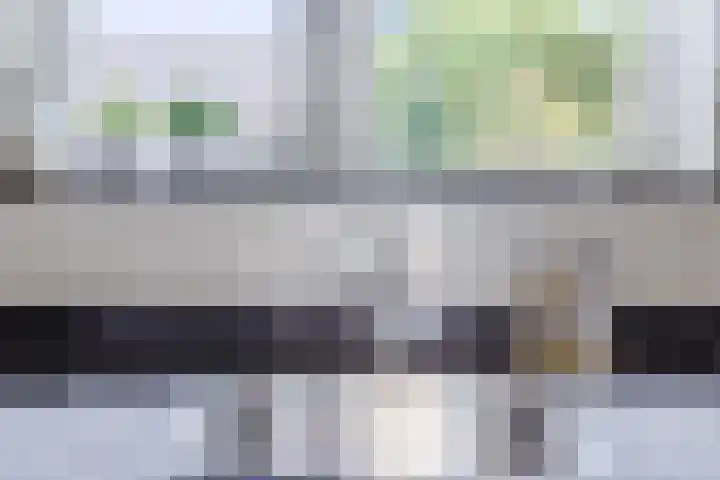 Schotvanger 11 Assendelft thumbnail 17