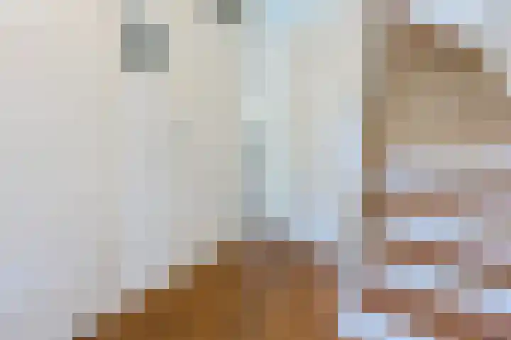 Schotvanger 11 Assendelft thumbnail 20