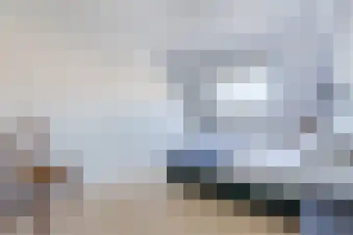 Schotvanger 11 Assendelft thumbnail 21