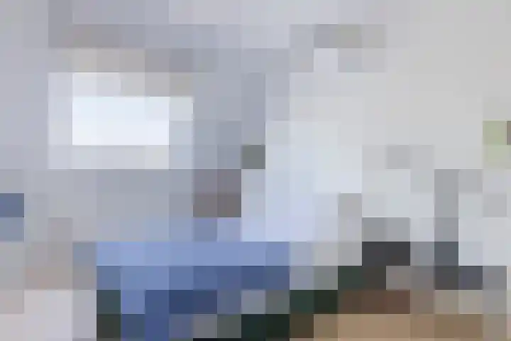 Schotvanger 11 Assendelft thumbnail 22