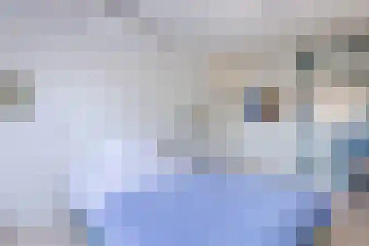 Schotvanger 11 Assendelft thumbnail 23