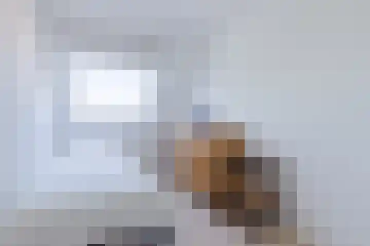 Schotvanger 11 Assendelft thumbnail 25
