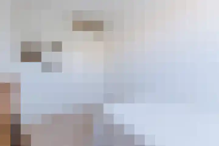 Schotvanger 11 Assendelft thumbnail 26