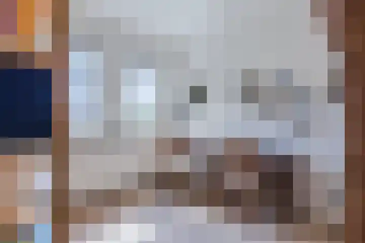 Schotvanger 11 Assendelft thumbnail 27