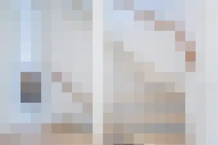 Schotvanger 11 Assendelft thumbnail 32