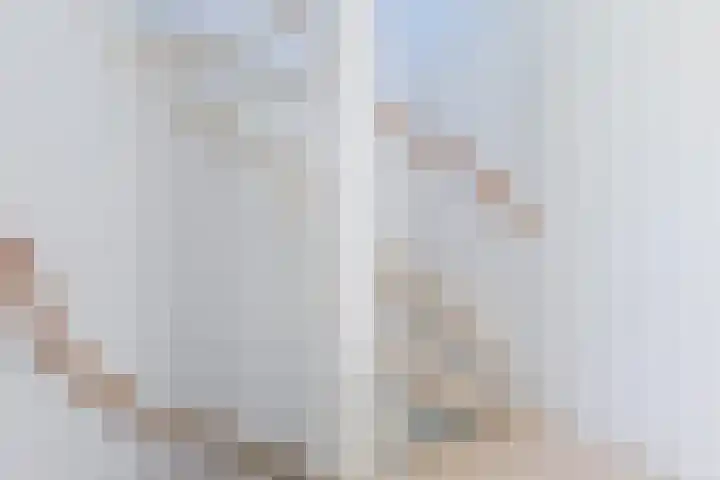 Schotvanger 11 Assendelft thumbnail 33