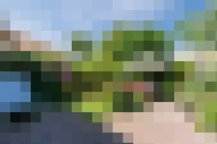 Schotvanger 11 Assendelft thumbnail 38